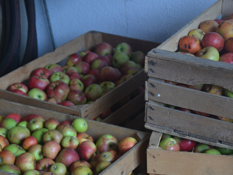 Bild Apfelkisten
