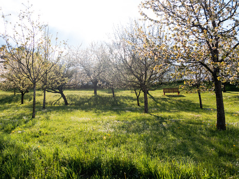 Bild fränkische Schweiz