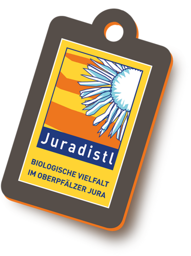 Logo Juradistl